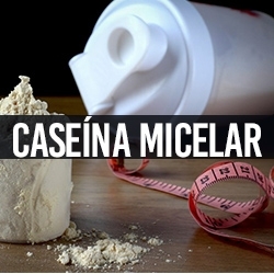 Caseína Micelar
